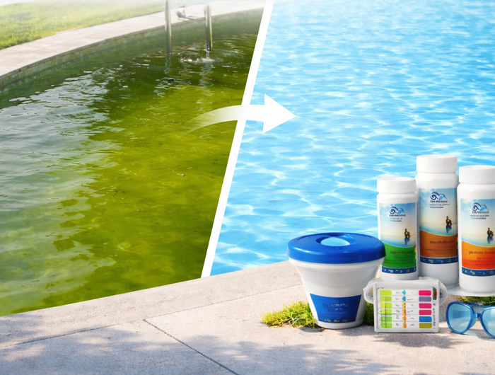 Grünes oder trübes Wasser?